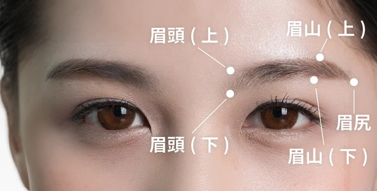 眉頭の上下・眉山の上下・眉尻の5つの基準点を示した図