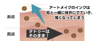 アートメイクのインクは垢と一緒に体外に出て薄くなり、タトゥーは残ることを示した図